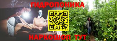 молекула духа Бузулук
