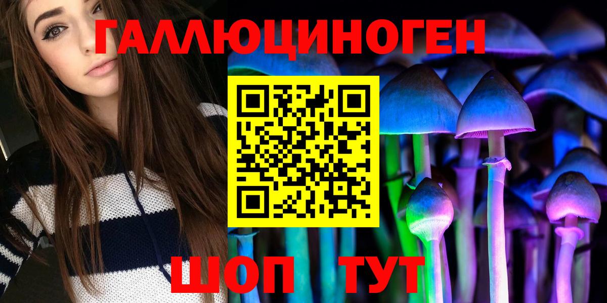Псилоцибиновые грибы Psilocybe  Галлюциногенные грибы мицелий  Серов  Вход с VPN 